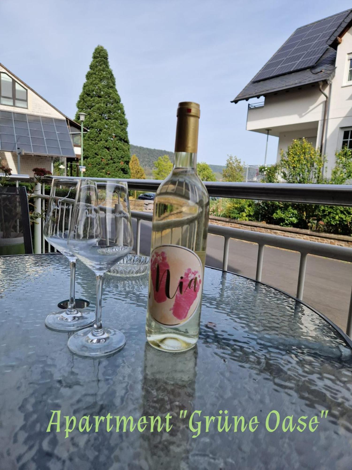 Weingut Im Moselkrampen Apartment Ellenz-Poltersdorf Exterior photo