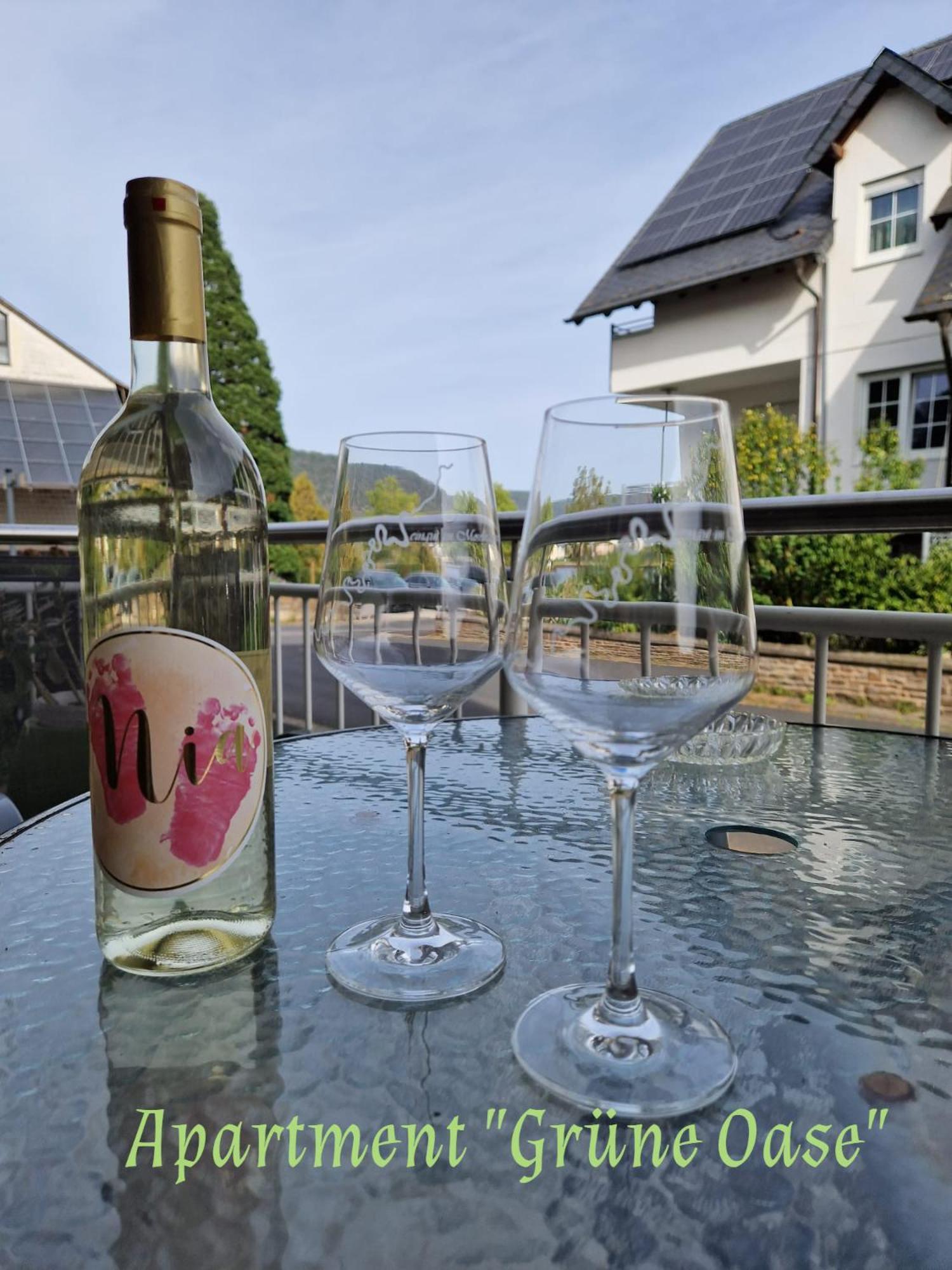 Weingut Im Moselkrampen Apartment Ellenz-Poltersdorf Exterior photo